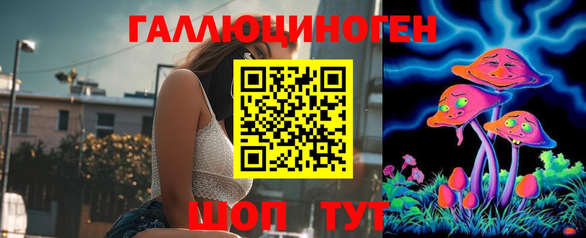 Ангарск  Псилоцибиновые грибы мицелий  Вход с VPN  Псилоцибиновые грибы GOLDEN TEACHER 